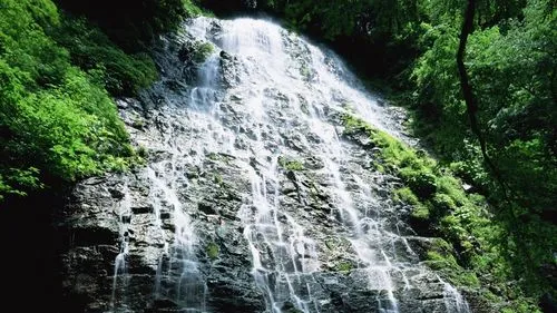 自动化高标准高端